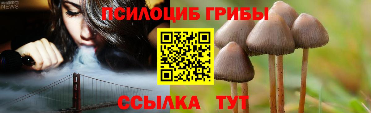 Галлюциногенные грибы Magic Shrooms  Вход с VPN  Зеленокумск 